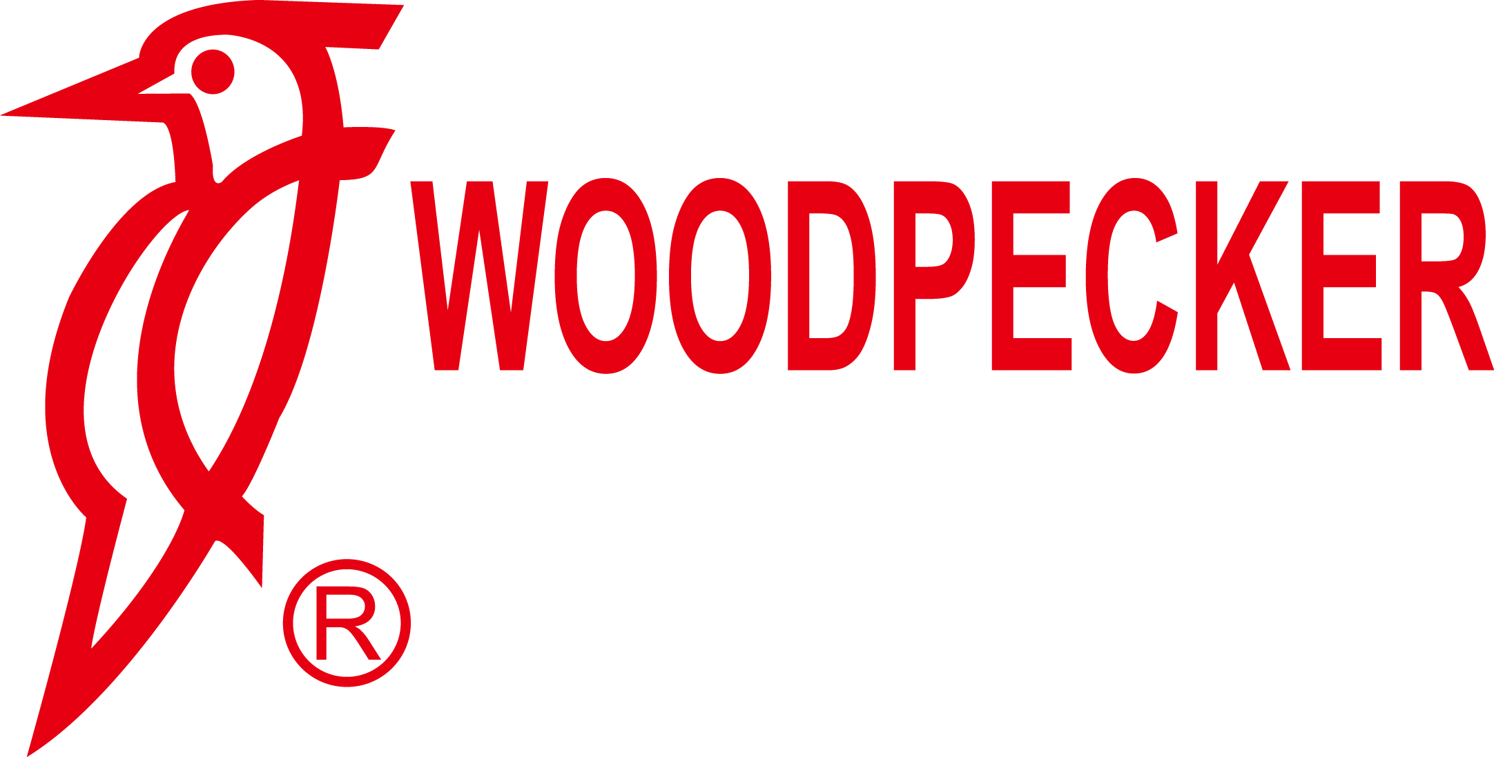 Woodpecker Shopdent